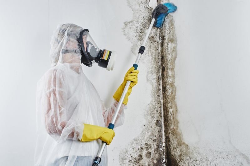 Mold Mitigation Service