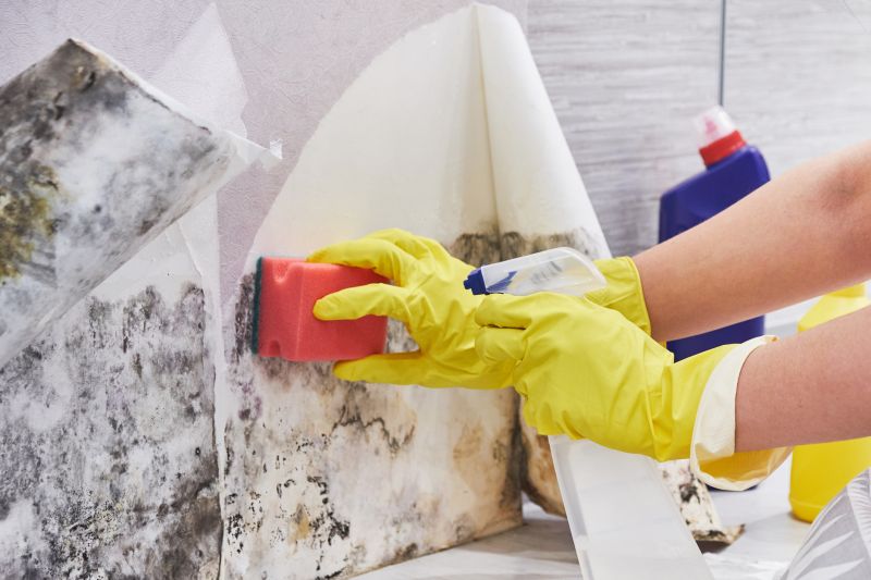 Mold Prevention