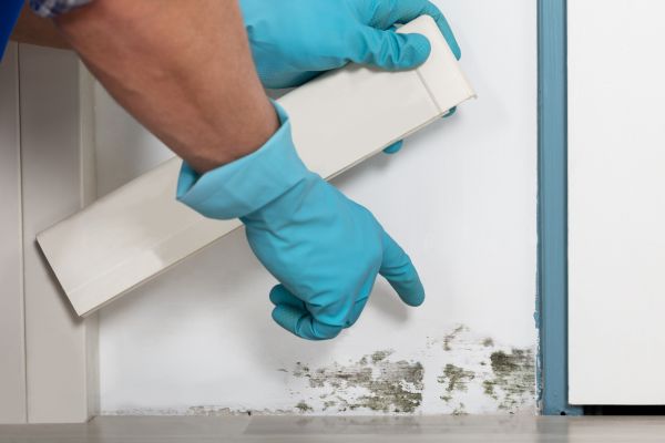 Crawl Space Mold Prevention